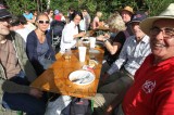 IMG 5985