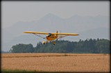 img_9565.jpg